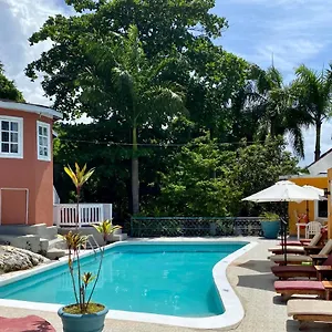 https://the-blue-orchid-montego-bay.hotelsmontegobay.org